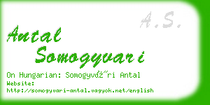 antal somogyvari business card